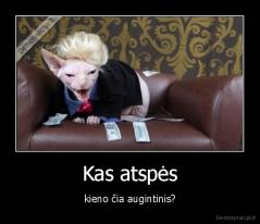 Kas atspės - kieno čia augintinis?