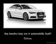 Kas bendro tarp oro ir automobilio Audi? - Šūdinas.
