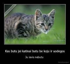 Kas butu jei katinai butu be koju ir uodegos - Ju isvis nebutu 