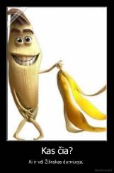 Kas čia? - Ai ir vėl Žilinskas durniuoja. 