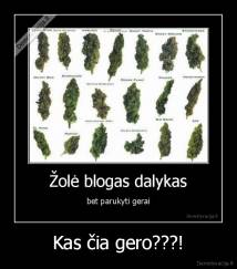 Kas čia gero???! - 