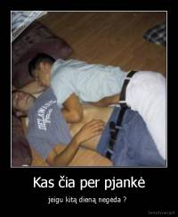 Kas čia per pjankė - jeigu kitą dieną negėda ? 