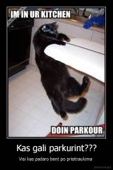 Kas gali parkurint??? - Visi kas padaro bent po prisitraukima 