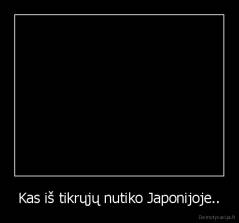 Kas iš tikrųjų nutiko Japonijoje.. - 