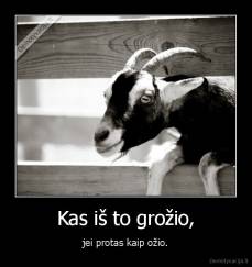 Kas iš to grožio, - jei protas kaip ožio.