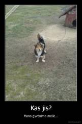 Kas jis? - Mano gyvenimo meilė...