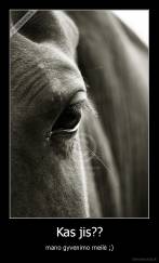 Kas jis?? - mano gyvenimo meilė ;)