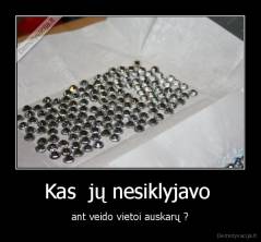 Kas  jų nesiklyjavo  - ant veido vietoi auskarų ?