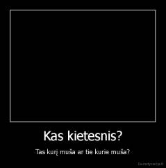Kas kietesnis? - Tas kurį muša ar tie kurie muša?