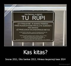 Kas kitas? - Snoras 2011, Ūkio bankas 2013, Vilniaus taupomoji kasa 2014