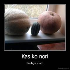 Kas ko nori - Tas tą ir mato