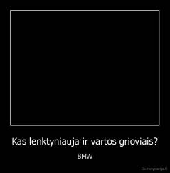 Kas lenktyniauja ir vartos grioviais? - BMW