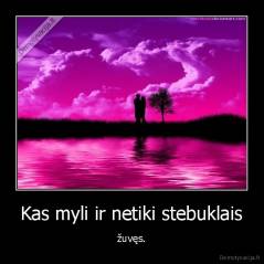 Kas myli ir netiki stebuklais - žuvęs.