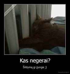 Kas negerai? - Šildymą gi įjungė ;)