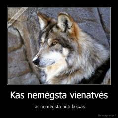 Kas nemėgsta vienatvės - Tas nemėgsta būti laisvas