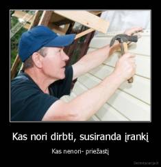 Kas nori dirbti, susiranda įrankį - Kas nenori- priežastį