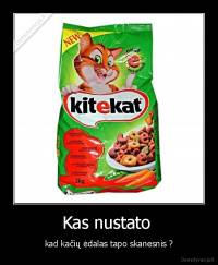 Kas nustato  - kad kačių ėdalas tapo skanesnis ?