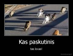 Kas paskutinis - tas loxas!