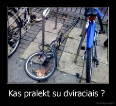 Kas pralekt su dviraciais ?  - 