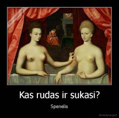 Kas rudas ir sukasi? - Spenelis