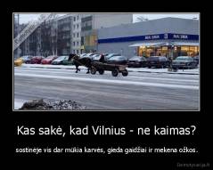 Kas sakė, kad Vilnius - ne kaimas? -  sostinėje vis dar mūkia karvės, gieda gaidžiai ir mekena ožkos.