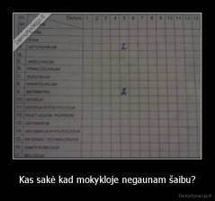 Kas sakė kad mokykloje negaunam šaibu? - 