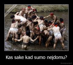 Kas sake kad sumo neįdomu? - 