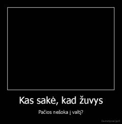 Kas sakė, kad žuvys - Pačios nešoka į valtį?