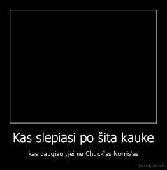 Kas slepiasi po šita kauke - kas daugiau ,jei ne Chuck'as Norris'as