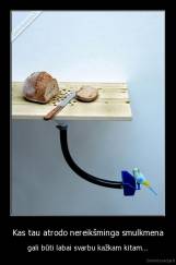 Kas tau atrodo nereikšminga smulkmena - gali būti labai svarbu kažkam kitam...