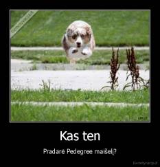 Kas ten - Pradarė Pedegree maišelį?