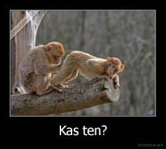 Kas ten? - 