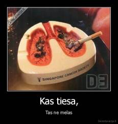 Kas tiesa - Tas ne melas