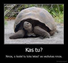 Kas tu? - Ninze, o kodel tu toks letas? as vezliukas ninze.