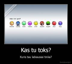Kas tu toks? - Kuris tau labiausiai tinka?