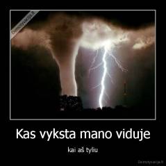 Kas vyksta mano viduje - kai aš tyliu