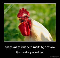 Kas y kas y,krutinėlė maikutę drasko? - Duok maikutę,sudraskysiu