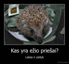 Kas yra ežio priešai? - Labas ir pildyk