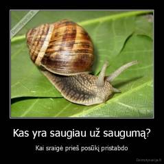 Kas yra saugiau už saugumą? - Kai sraigė prieš posūkį pristabdo