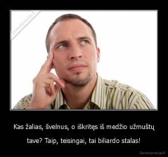 Kas žalias, švelnus, o iškritęs iš medžio užmuštų - tave? Taip, teisingai, tai biliardo stalas!