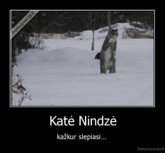 Katė Nindzė - kažkur slepiasi... 