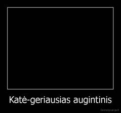 Katė-geriausias augintinis - 