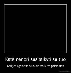 Katė nenori susitaikyti su tuo - Kad jos ilgametis šeimininkas buvo palaidotas