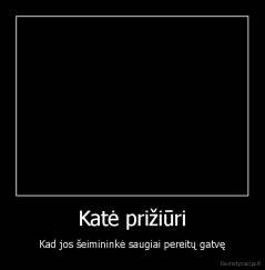 Katė prižiūri - Kad jos šeimininkė saugiai pereitų gatvę