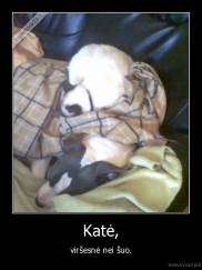 Katė, - viršesnė nei šuo.