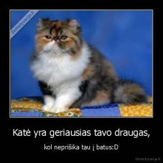 Katė yra geriausias tavo draugas, - kol neprišika tau į batus:D