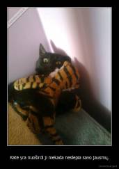 Katė yra nuoširdi ji niekada neslepia savo jausmų. - 