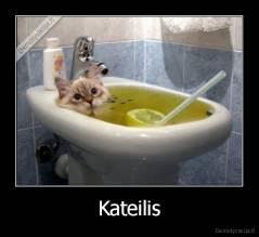 Kateilis - 