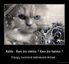 Katės . Kam jos mielos ? Kam jos baisios ? - Draugų nuomonė dažniausiai skiriasi . 