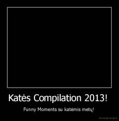 Katės Compilation 2013!  - Funny Moments su katėmis metų! 